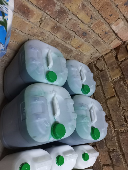 Dishwashing Liquid - Image 2